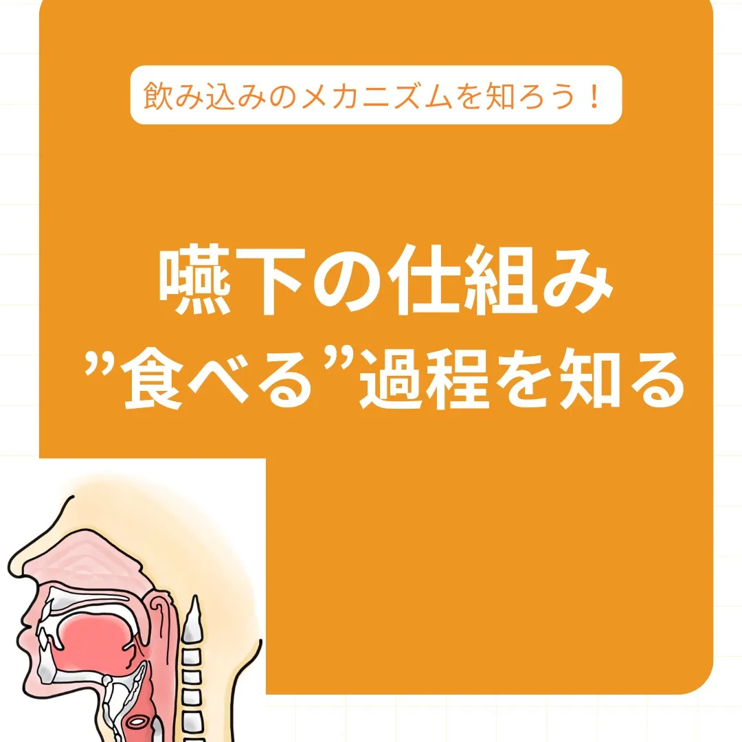 食べる」メカニズムを知ろう！