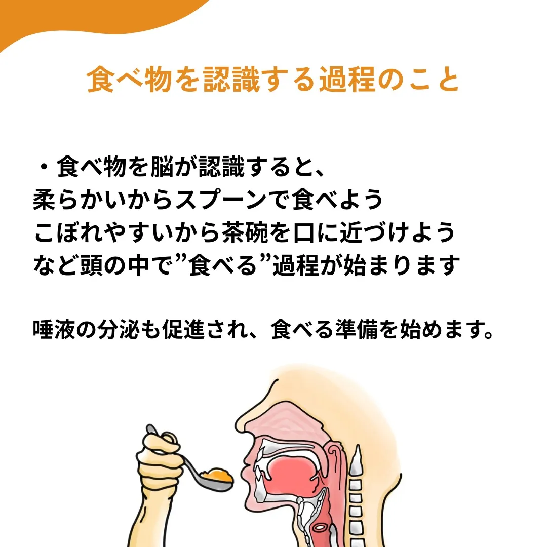 食べる」メカニズムを知ろう!