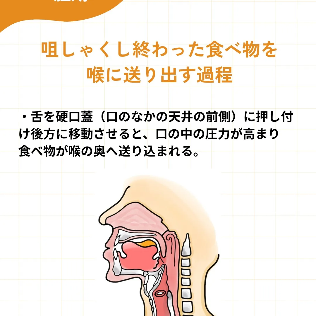 食べる」メカニズムを知ろう!