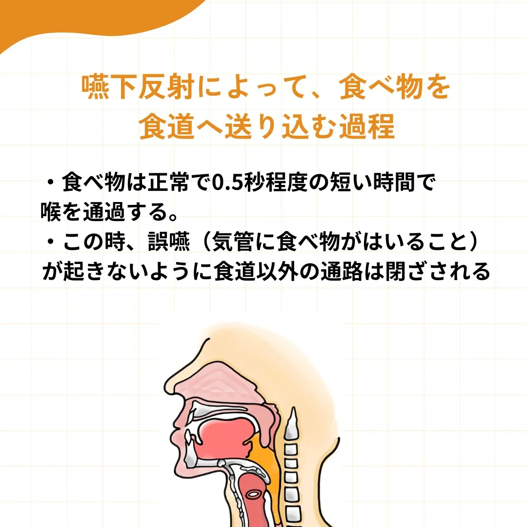 食べる」メカニズムを知ろう!
