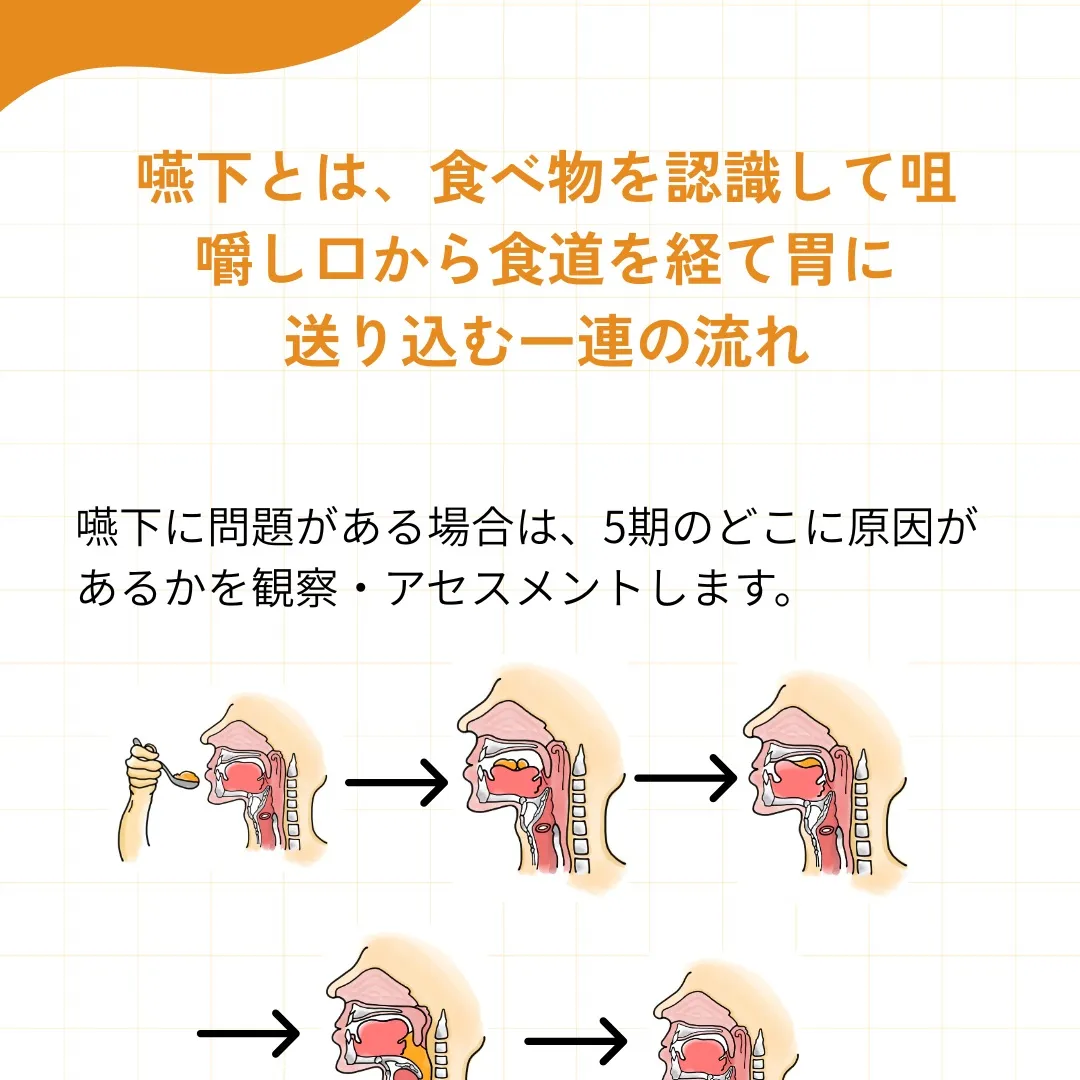 食べる」メカニズムを知ろう!