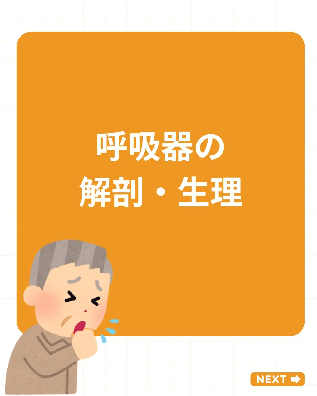 【呼吸器の解剖・生理 その1】
